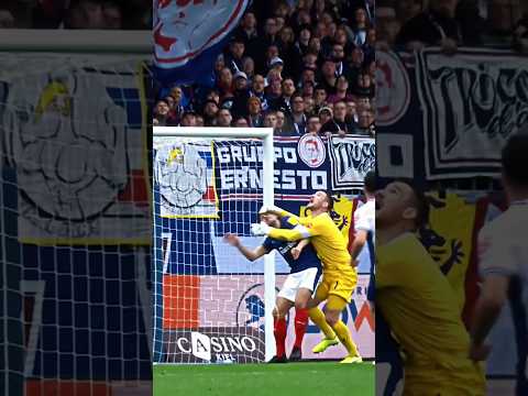 What are they doing? 🤣